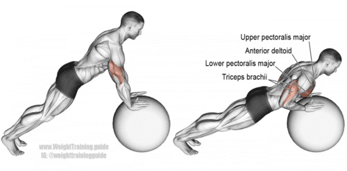 stability ball push up