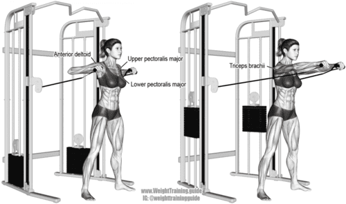 standing cable chest press