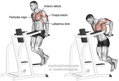 Triceps Dip