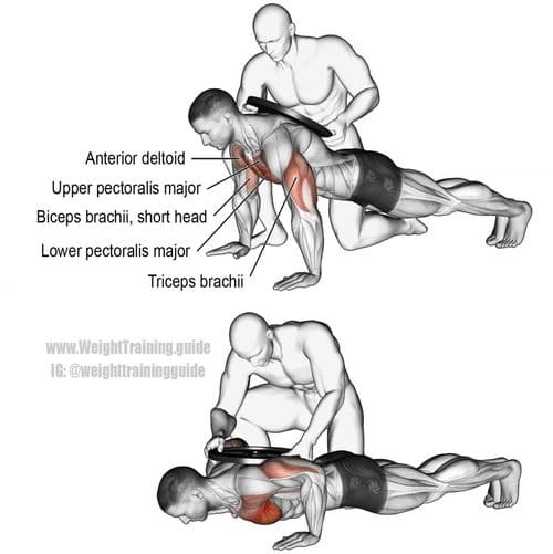 weighted push up