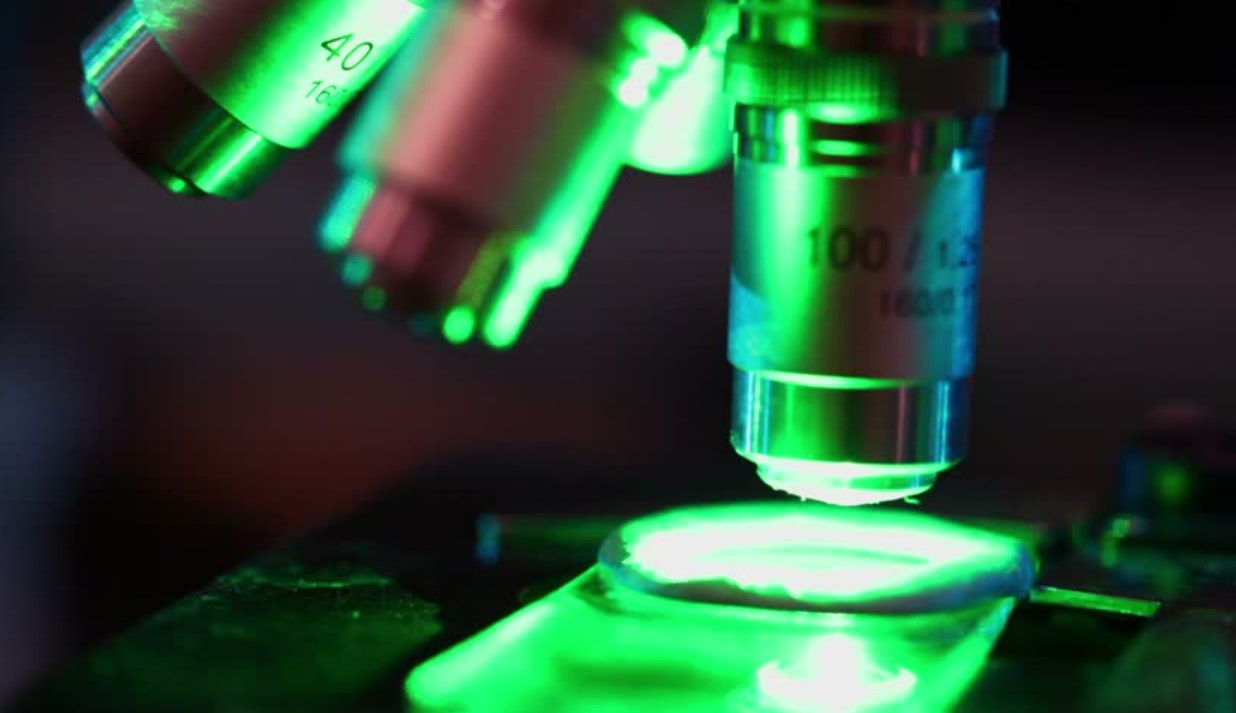 Cảm Biến Quang Là Gì? Những Điều Cần Biết Về Cảm Biến Quang