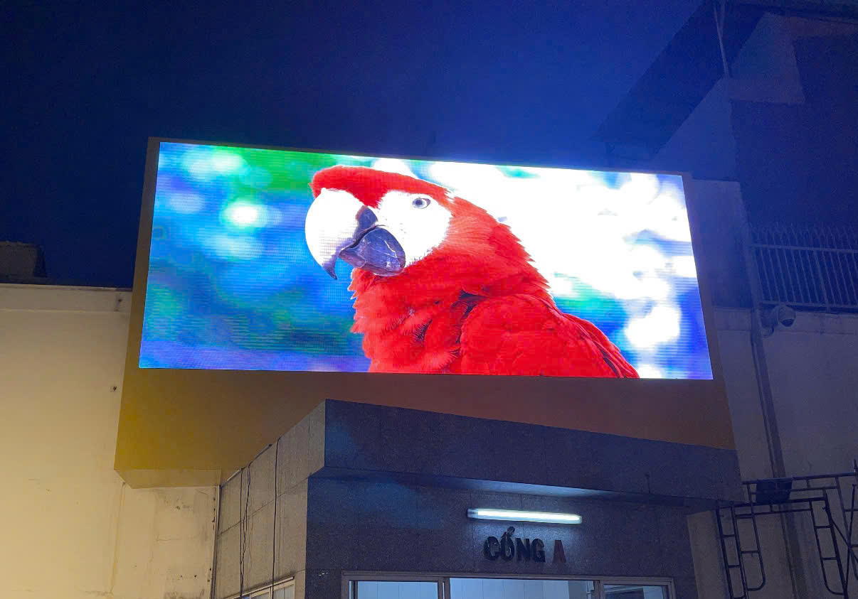 ứng dụng màn hình LED ngoài trời