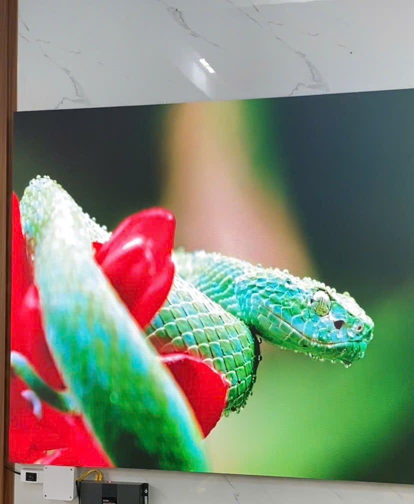 Ứng Dụng Của Màn Hình LED P1.5