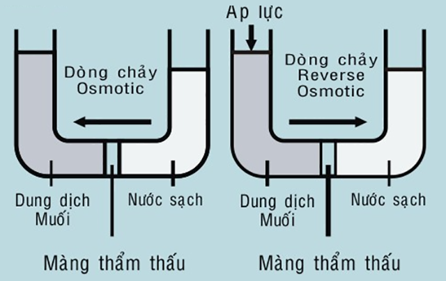 Công thức tính áp suất thẩm thấu
