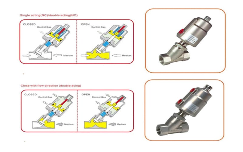 2 dạng đơn và kép