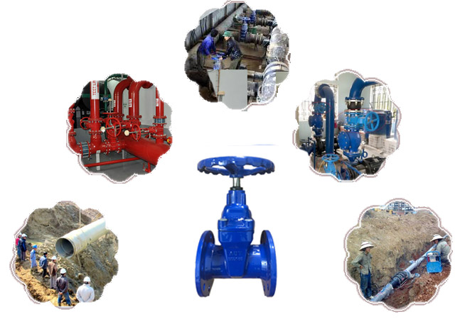 Ứng dụng van cổng AUT