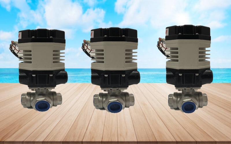 Van bi điều khiển điện Wyeco