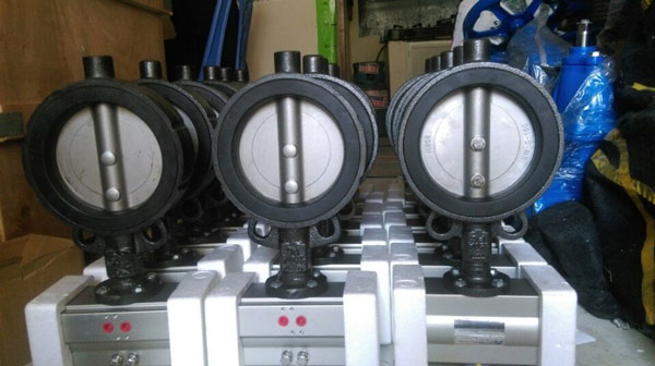 Van bướm inox Trung Quốc