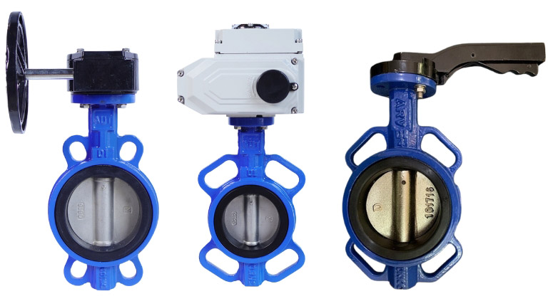 Van bướm Malaysia