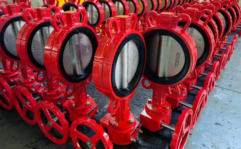 Van bướm Trung Quốc - Đa dạng về chủng loại cũng như kích thước