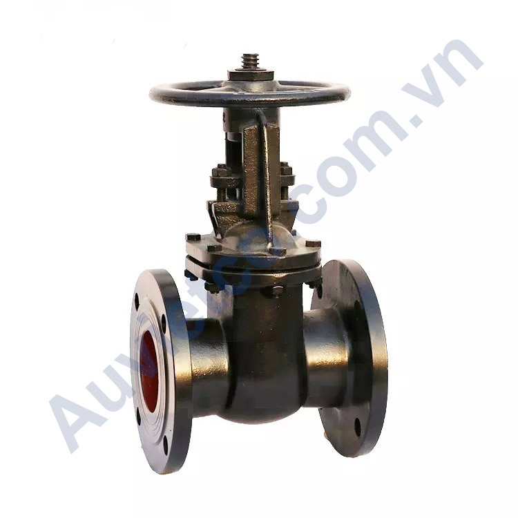 Van cổng ty nổi DN100 Trung Quốc