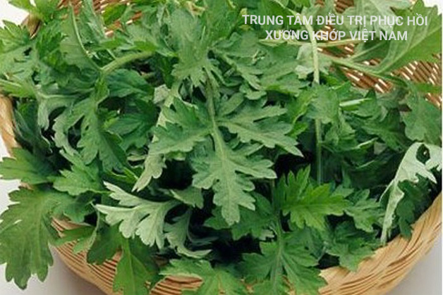 Bài thuốc chữa đau lưng từ ngải cứu