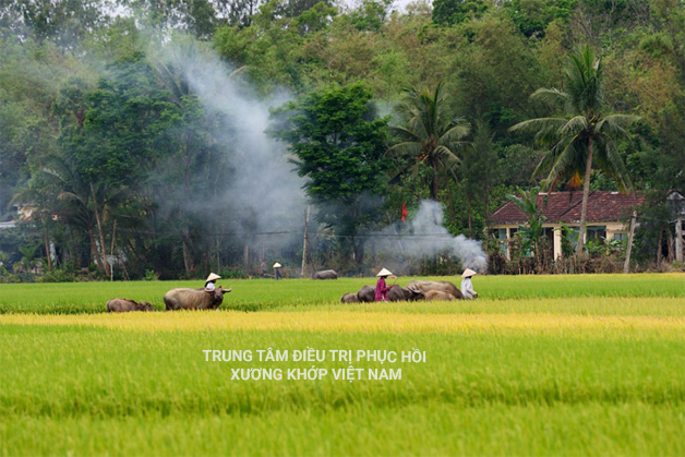 Huyện Sóc Sơn