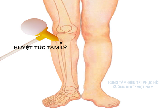 Huyệt Túc tam lý