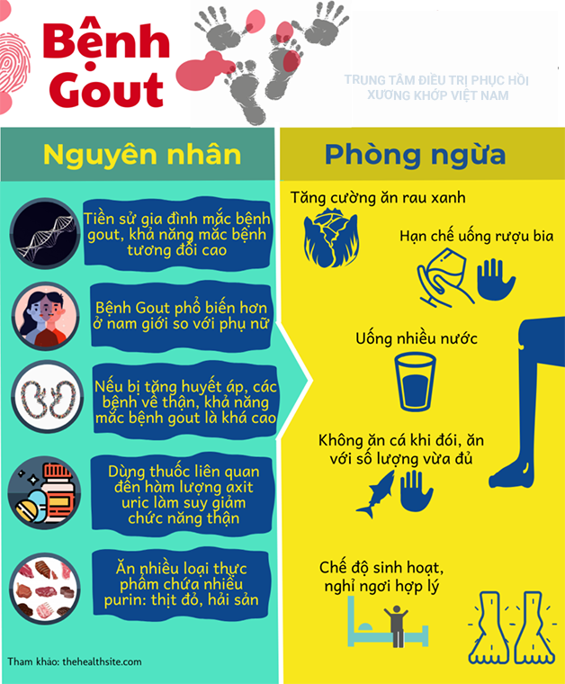 Nguyên nhân gây ra bệnh Gout 