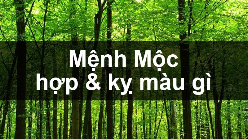 nguoi-menh-moc-nen-deo-dong-ho-mau-gi-hop-phong-thuy-may-man-va-tai-loc-armanishop-vn