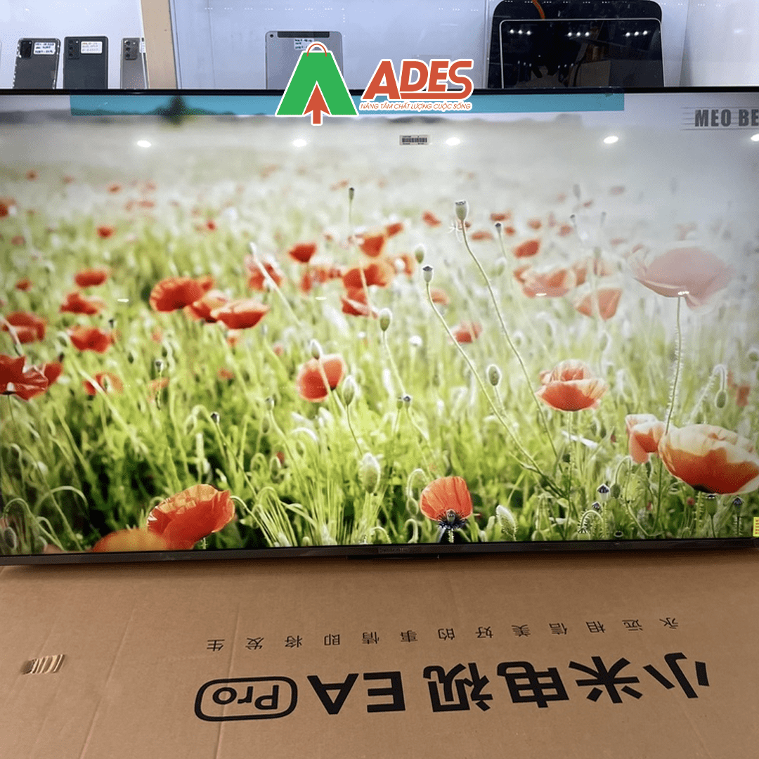 Smart Tivi Xiaomi 55 inch EA55