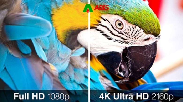 Do phan giai Ultra HD 4K sac net