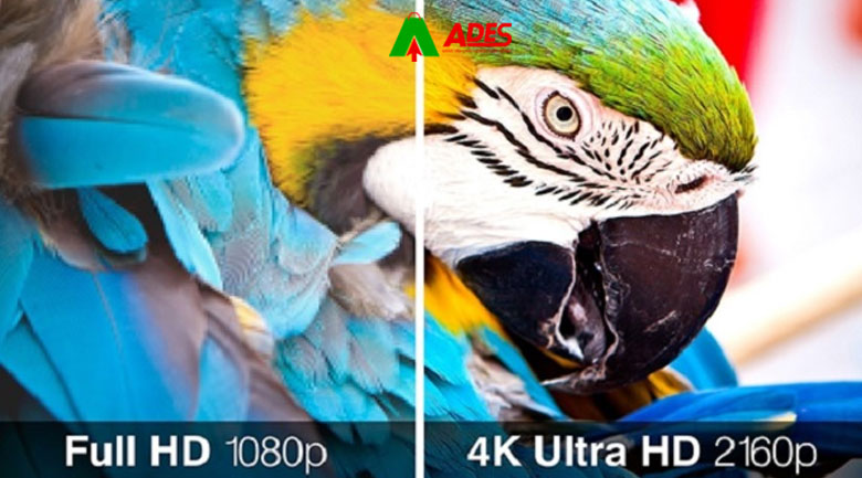 Do phan giai Ultra HD 4k sac net