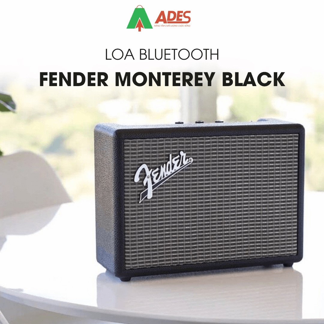 Fender Monterey Black