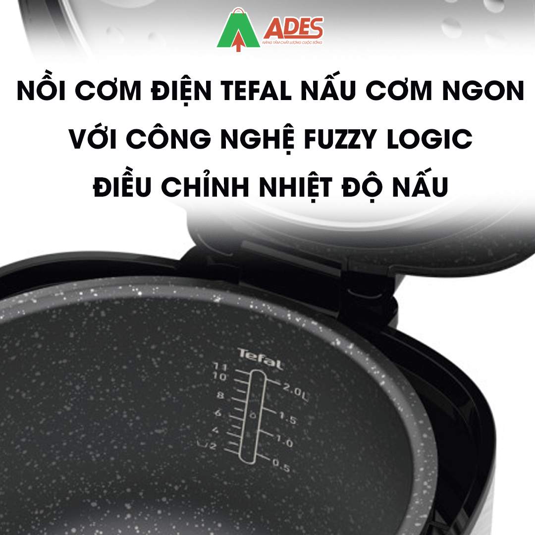 Tefal RK75216