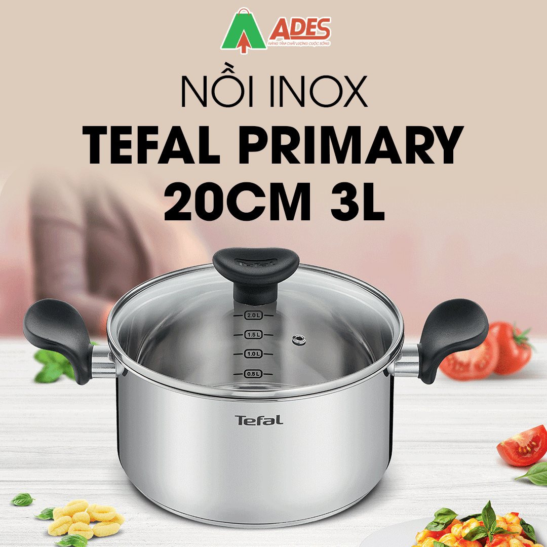 noi inox Tefal Primary 20cm 3L