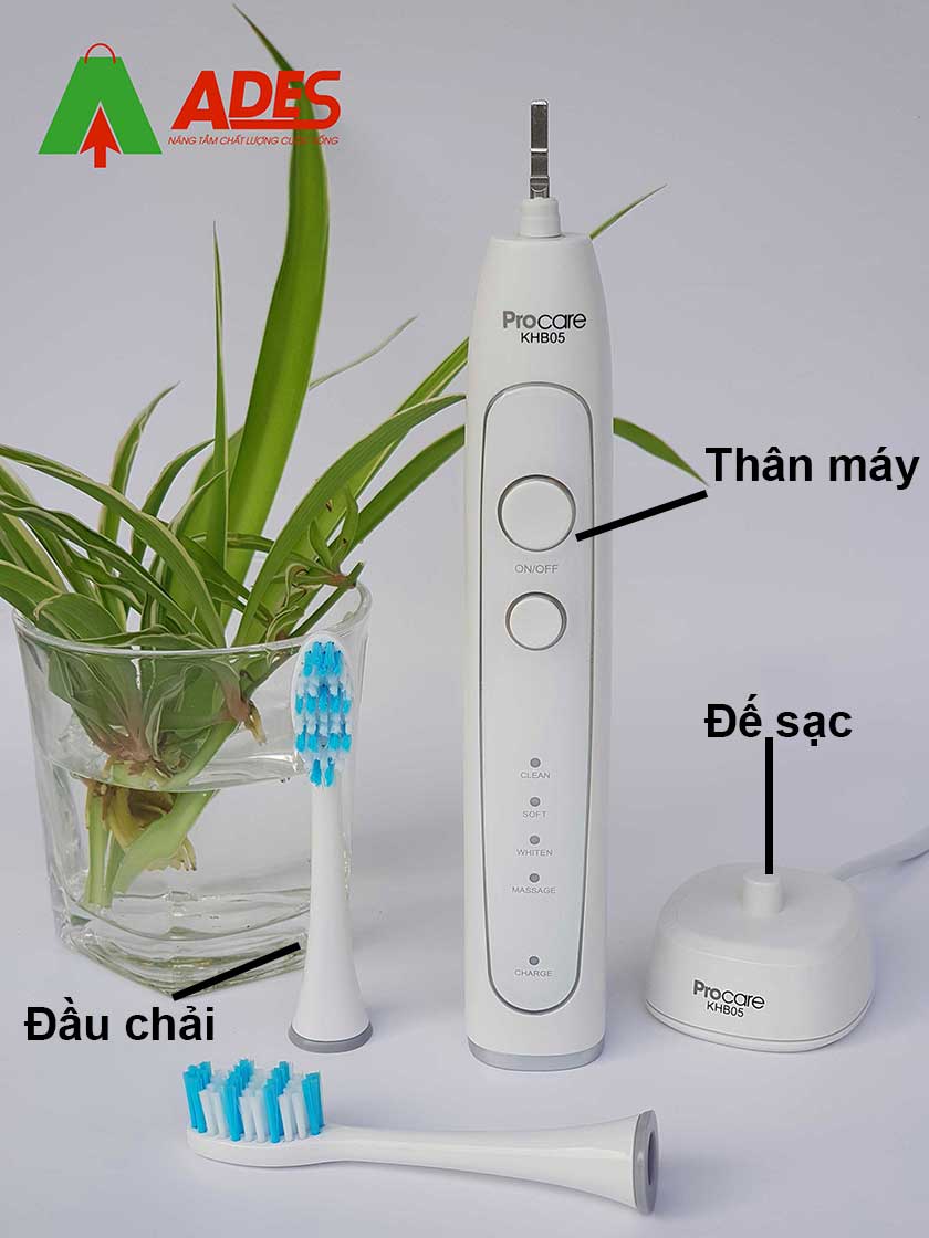 Cau tao ban chai Procare B05