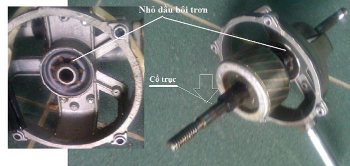 Nguyên lý và cấu tạo quạt cây