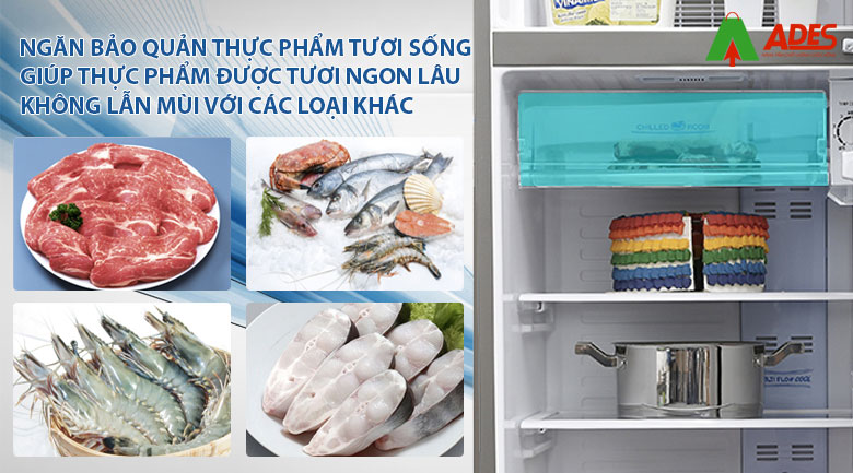 cau tao ngan chua thuc pham cua tu lanh Aqua AQR-I209DN