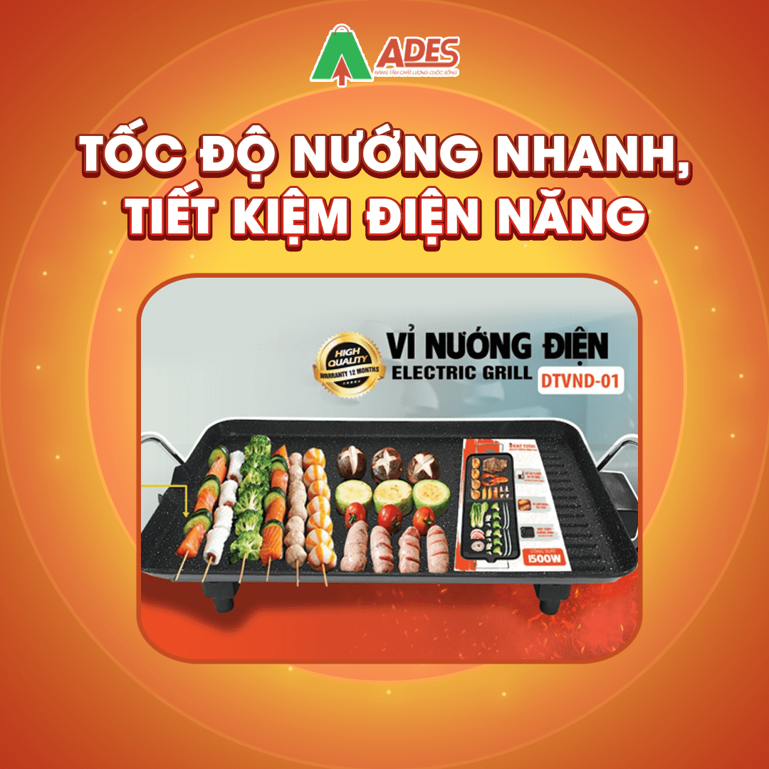 Vi nuong dien Raika RKVND-01