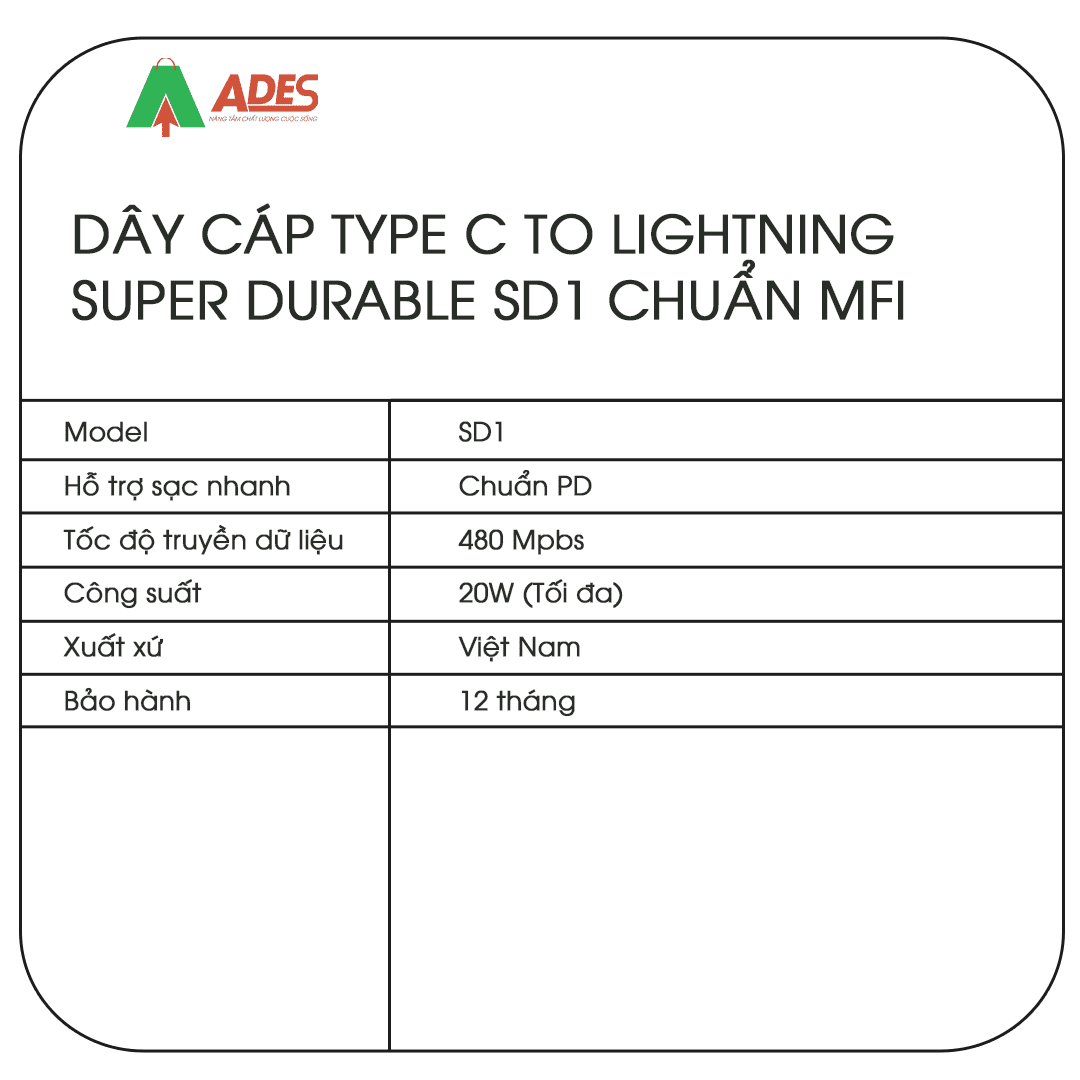 Day cap Type C to Lightning Super Durable SD1