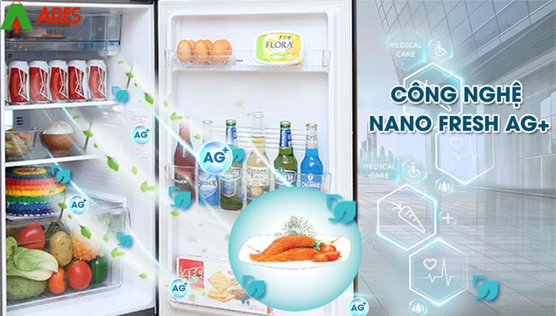 Khang khuan, khu mui toi da voi cong nghe Nano Fresh Ag+ AQR-IG316DN (GB)