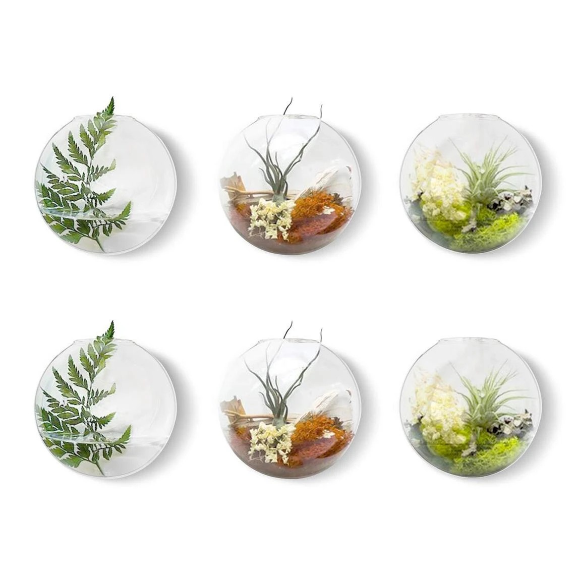 Binh hoa op tuong thuy tinh trong suot trong cay thuy canh