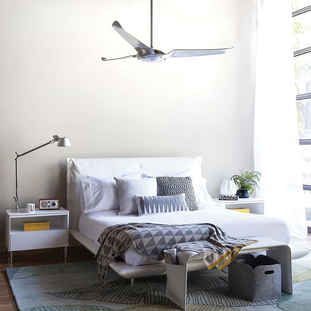 Một số loại quạt trần