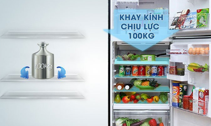 Tủ lạnh 2 cánh giá bao nhiêu?