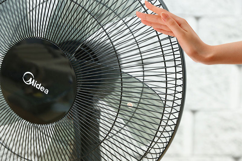 Quạt cây MD có tốt không?