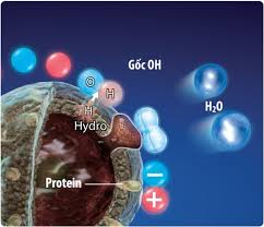 Công nghệ plasmacluster ion của Sharp
