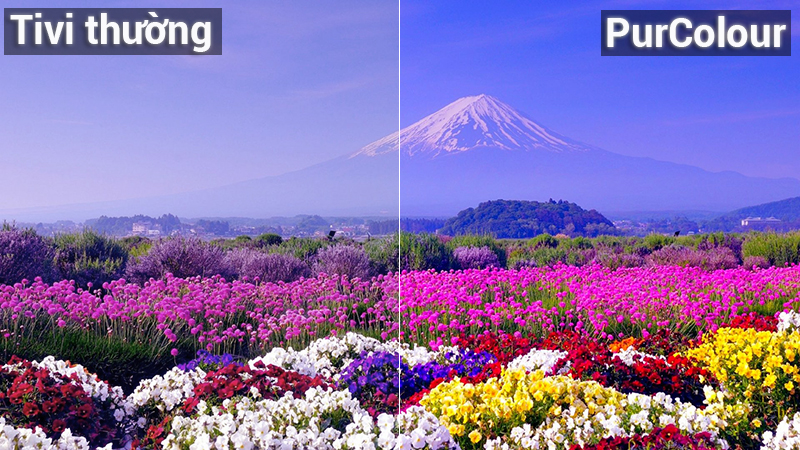 Smart Tivi Samsung 4k 55 inch UA55NU7100