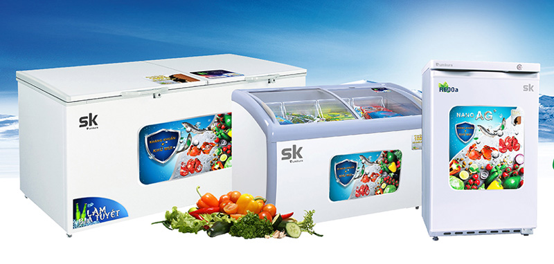 Cách chọn mua tủ đông mini 100 lít