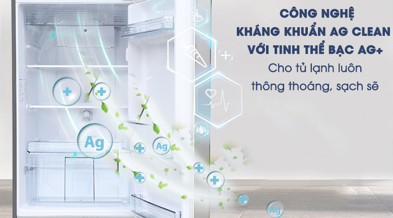 Tủ lạnh Panasonic NR-BL308PSVN 267L