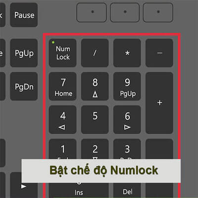 Bật chế độ NumLock để khắc phục lỗi bàn phím laptop không gõ được chữ số