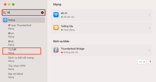 Gõ IP → Chọn TCP/IP