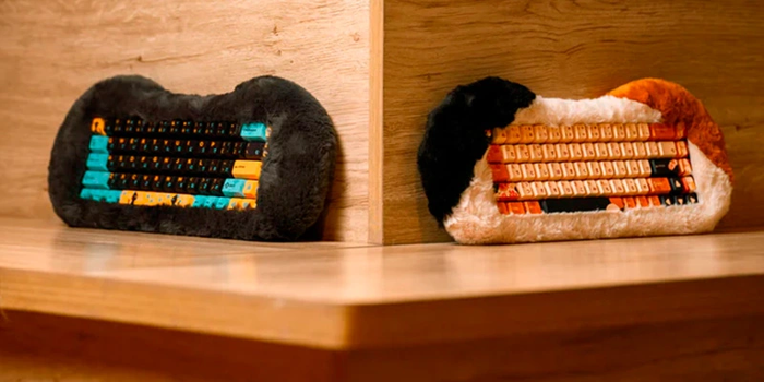 Hiệu năng và phong cách kết hợp hoàn hảo trong Dry Studio PetBrick 65