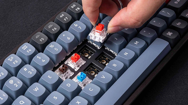 Người dùng có thể thay đổi các switch mà không cần hàn