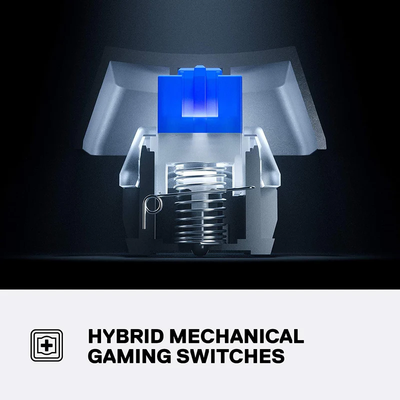 Switch Hybird