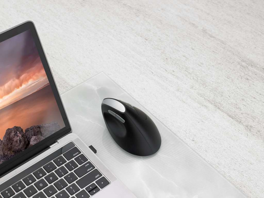 Trang bị kết nối không dây 2,4 GHz