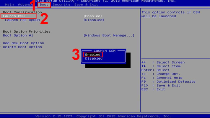 Tuỳ chọn Launch CMS