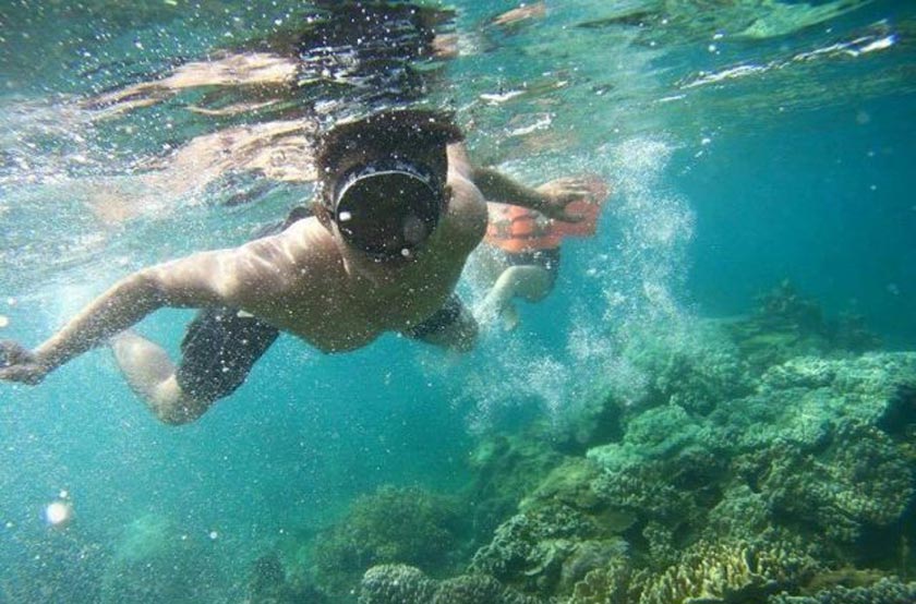 Lặn ngắm san hô tại Hòn Sẹo Quy Nhơn Lặn ngắm san hô tại Hòn Sẹo Quy Nhơn