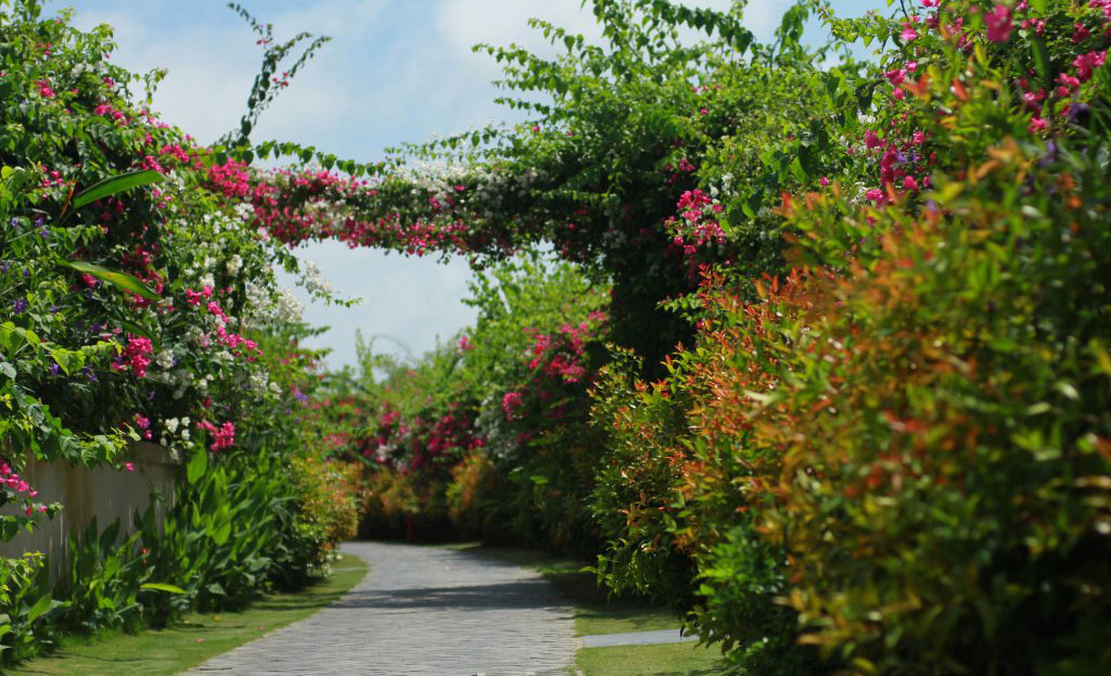 FLC Luxury Resort Sầm Sơn