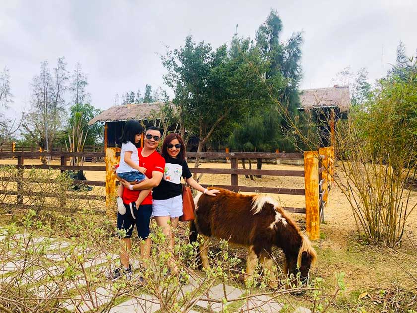 FLC Zoo Safari Park Quy Nhơn 01 FLC Zoo Safari Park Quy Nhơn 01